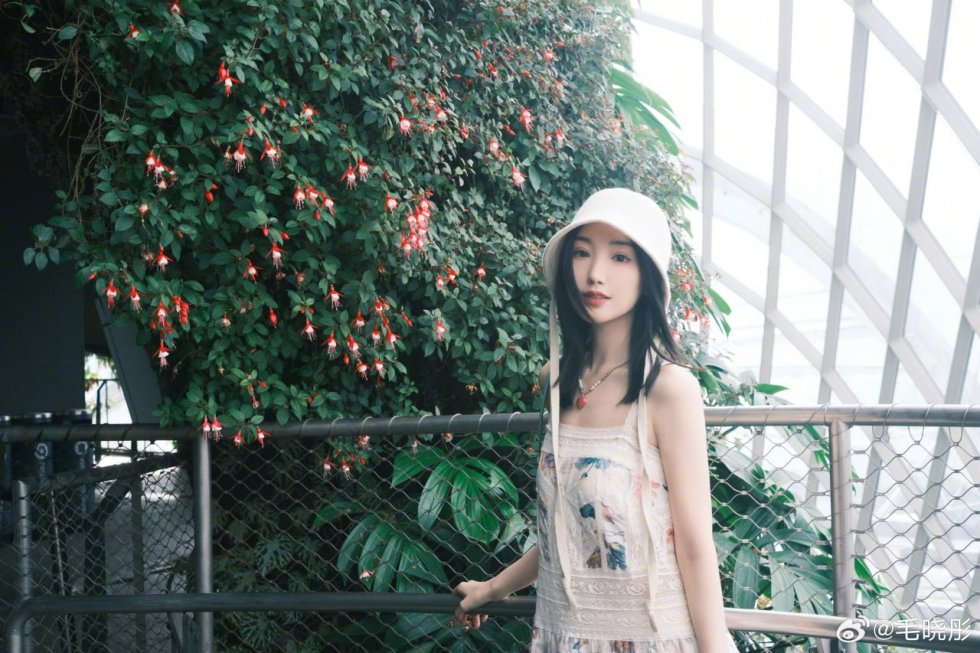 在台中糖爹的陪伴下探索生活的多重滋味与人生选择